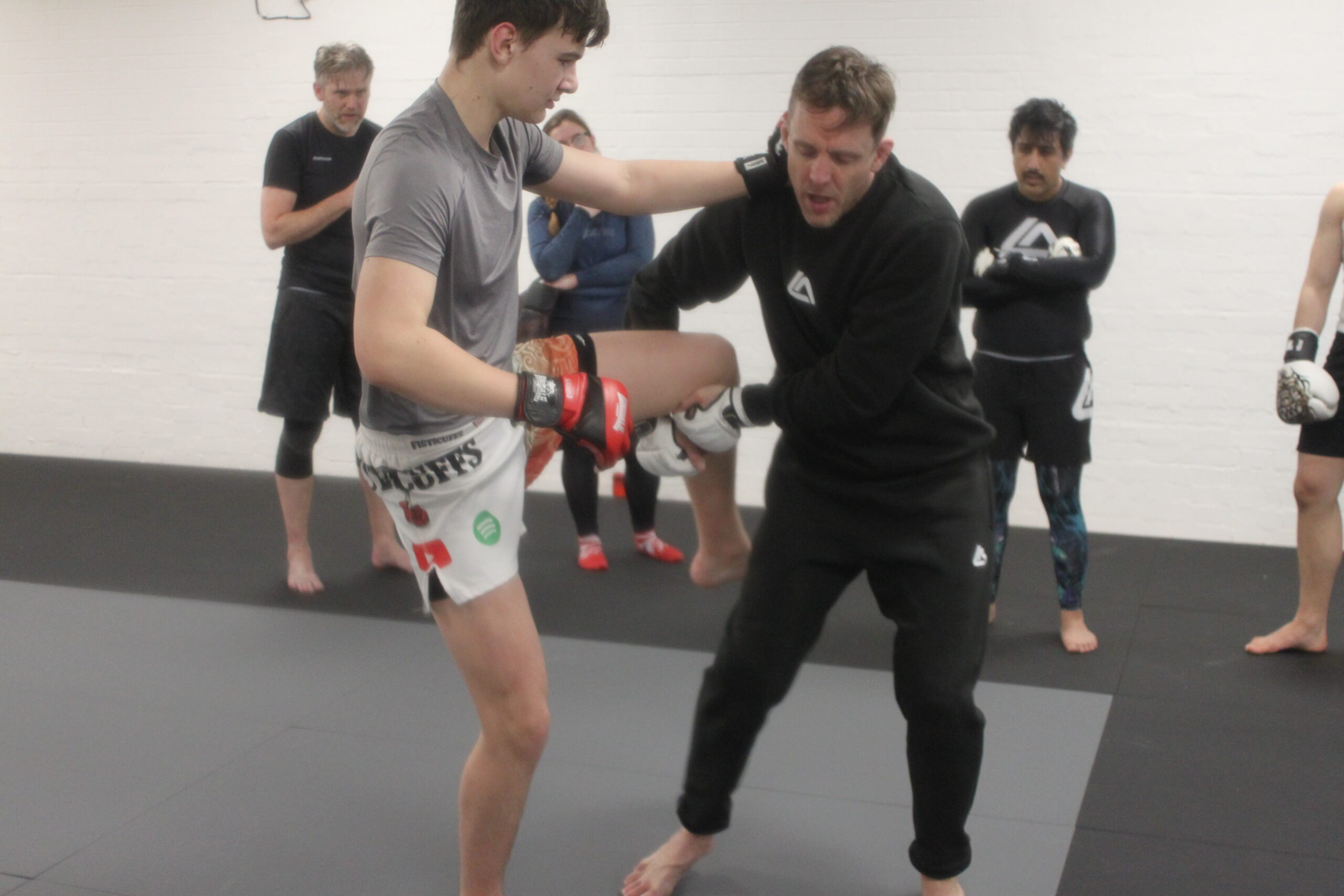 MMA and striking class